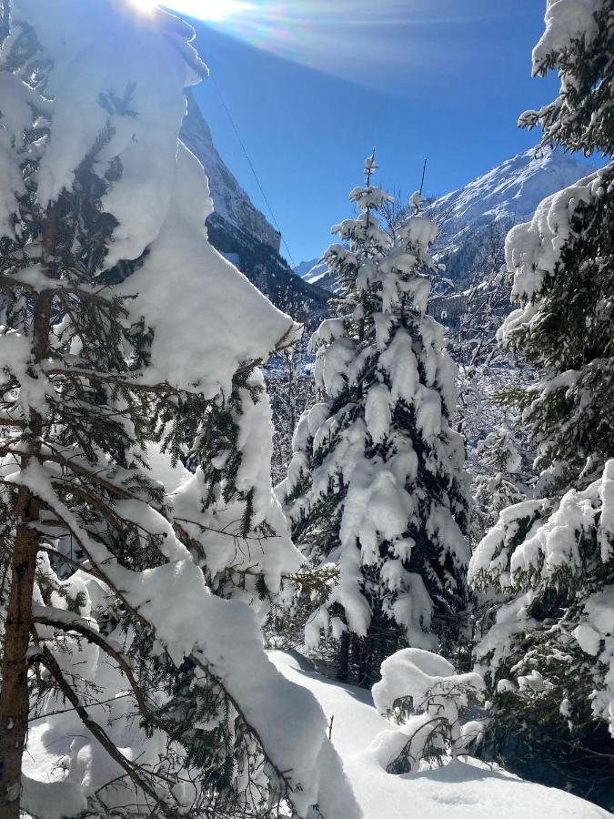 Hotel L'Edelweiss Pralognan-la-Vanoise Exteriör bild
