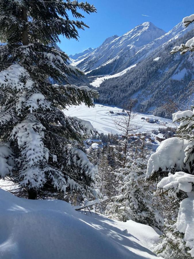 Hotel L'Edelweiss Pralognan-la-Vanoise Exteriör bild